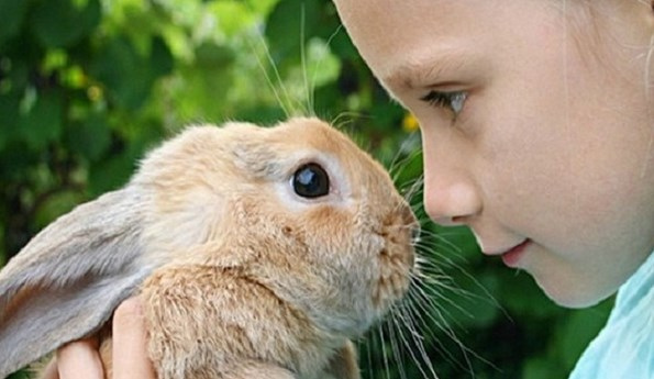 Живые уголки и контактные зоопарки Минска - куда сходить семьей