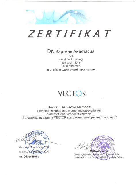 Сертификат на использование аппарата Вектор